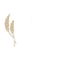 The Bank of Protection Logo